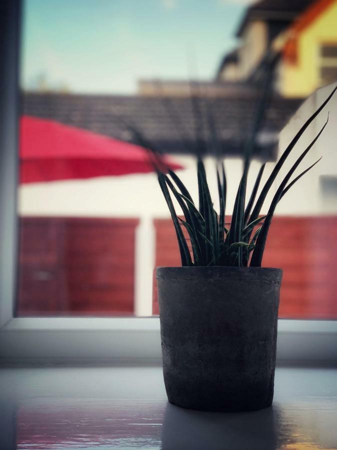 Paul's Place Near Heathrow Appartamento *